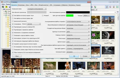 FastStone Image Viewer торрент